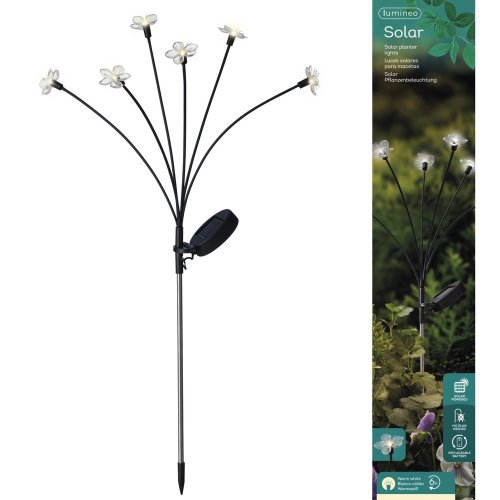Led solár zápich kvietok/6hv70cm - Umelé kvety