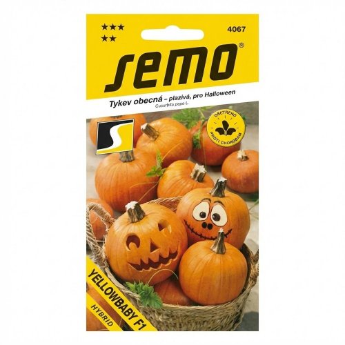 Tekvica yellowbaby f1 3g - Vianočné stromčeky