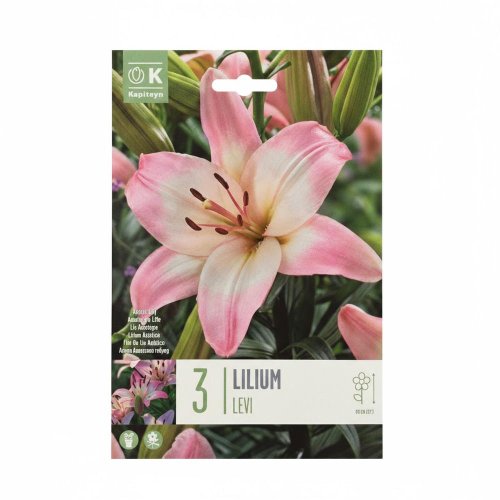 Ľalia levi 3ks