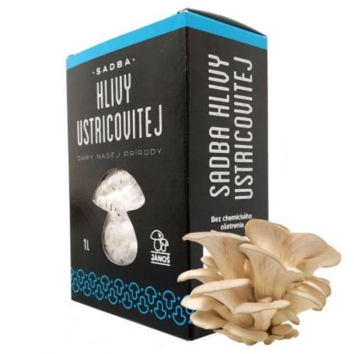 Sadba hliva ustricová 1l