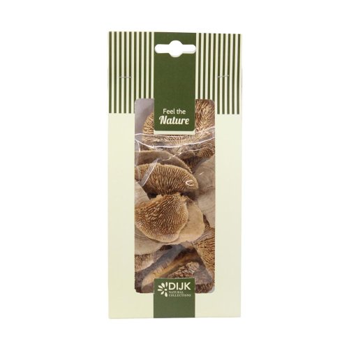 Mushroom sponge nature 10x5x22cm 50gr