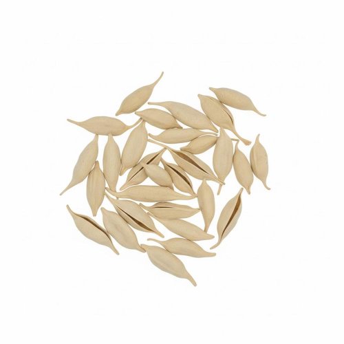 5106 brachyciton bielený 250g - Vianočné dekorácie a ozdoby