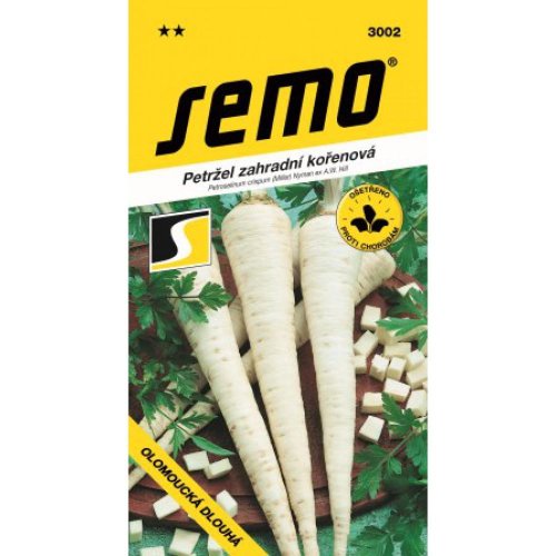 Petržlen olomoucky dlhý 3g