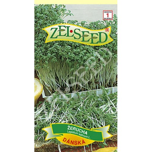 Žerucha dánska 6g - Umelé kvety