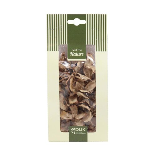 Cottonpod nature 10x5x22cm 40gr