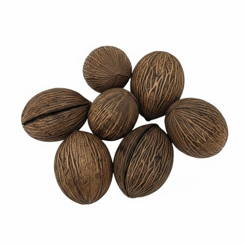 3424 mintola 7-10cm natur 6ks