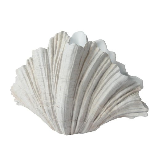 Mušla dekor. polyres. váza v36x31x36cm