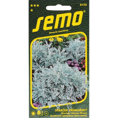 Starček silverdust 0,3g