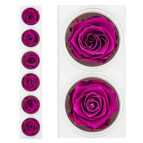 Ruža preparovaná 6,5cm velvet plum /ks - bal. 6 ks