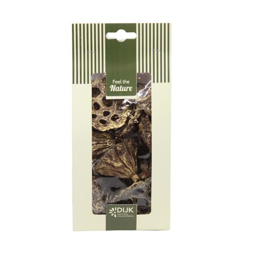 Lotus mini nature 10x5x22cm 10pc