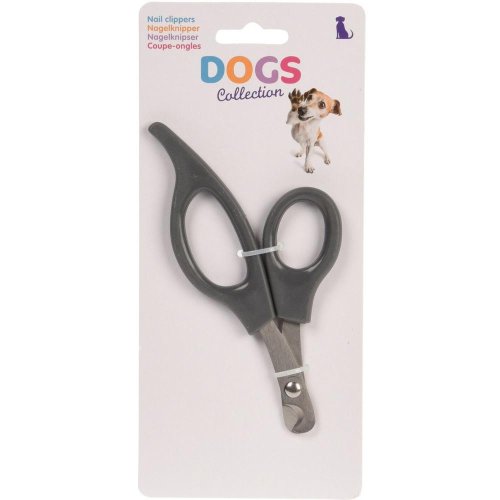 Sada starosltivosť / pes