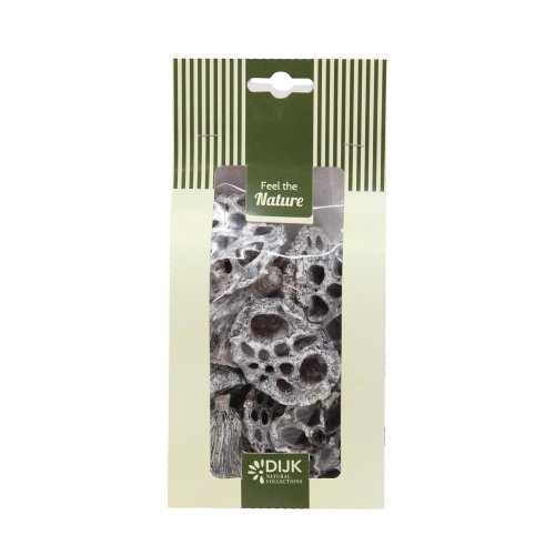 Lotus mini nature 10x5x22cm 10pc