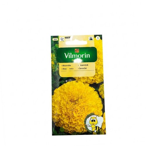 Aksamietnica vzpriamená lemon 1g