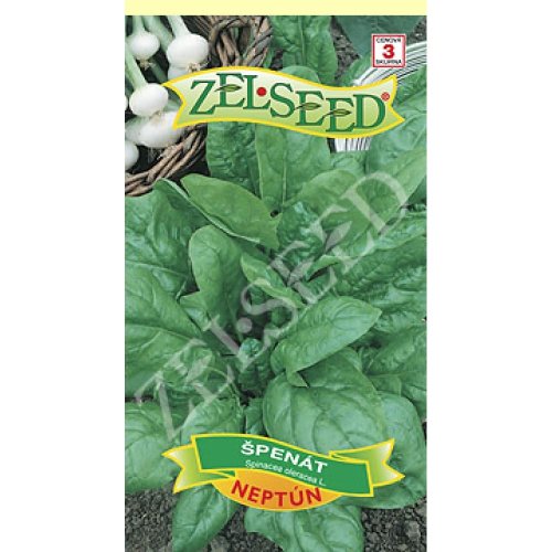 Špenát neptun 18g