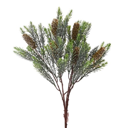 Zeleň čečina, šišky 42cm