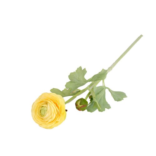 Ranunculus 51cm žltý