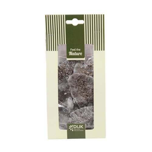 Mushroom sponge nature 10x5x22cm 50gr