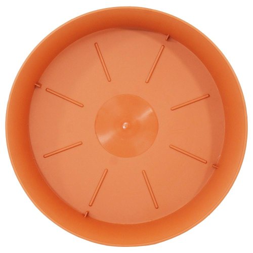 Pp13 miska plastica terakota 13,2xh2,4cm - Umelé kvety