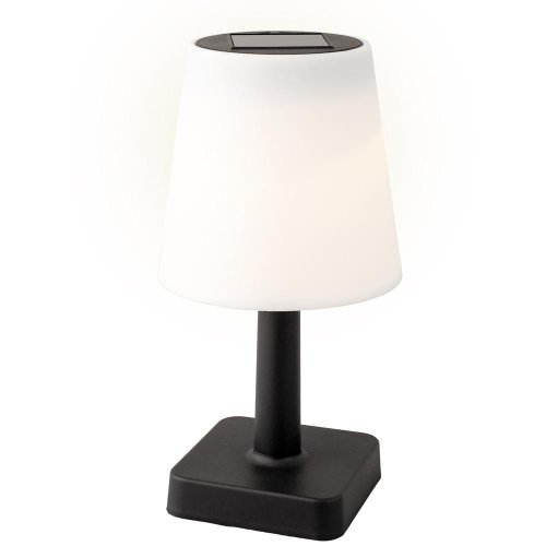 Solár lampa plastu ww/6h pr.12cm h.23cm - Umelé kvety