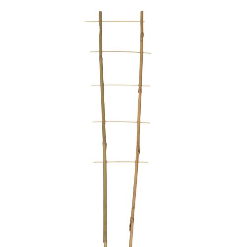 Podpora bambus 150/2 - Umelé kvety