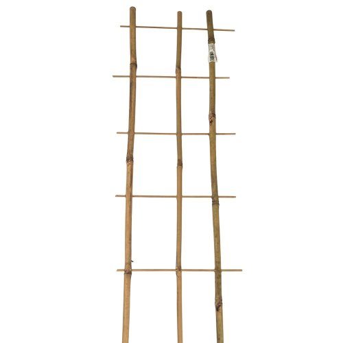 Podpora bambus 150/3 - Vianočné dekorácie