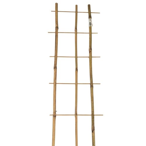 Podpora bambus 105/3 - Vianočné stromčeky