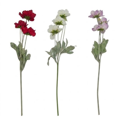 Ks papaver mix/3f 56cm