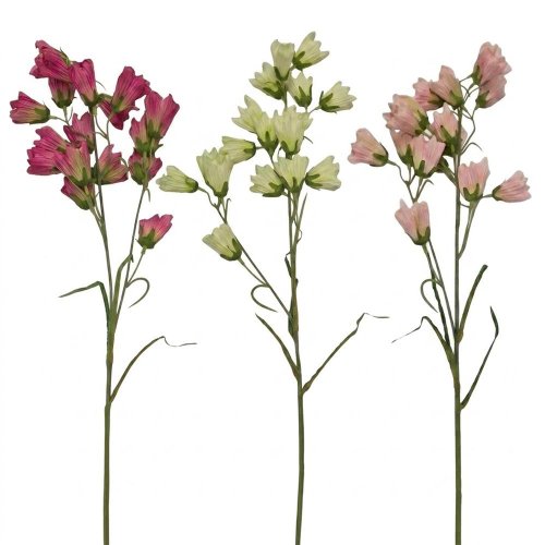 Ks campanula mix/3f 77cm