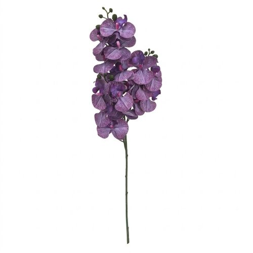 Ks orchidea phalaenopsis x3 tmavo-fialová 77cm - Umelé kvety
