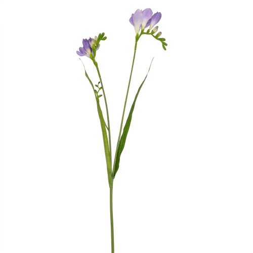 Ks frézia mix/3f 63cm - Umelé kvety