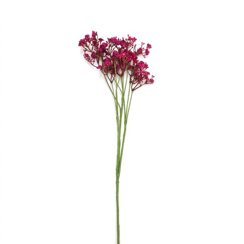 Ks waxflower bord-červený 70cm - Umelé kvety