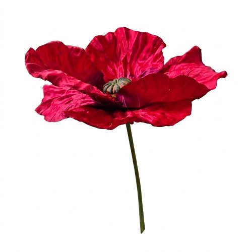 Papaver červený xxl 55/100cm - Umelé kvety
