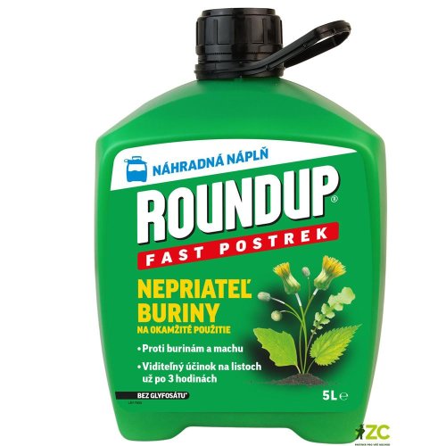 Roundup fast nn 5l evergreen - Vianočné dekorácie