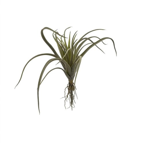 Zápich tilandsia strieborná 33cm - Umelé kvety
