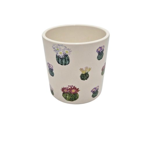 Obal kaktus mini farebný 11,3xv11,6cm