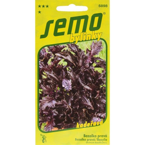 Bazalka purple ruffles 0,15g
