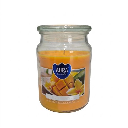 Voň.v skle s vrchn.mango 500gr/snd99-475/ 15cm - Umelé kvety