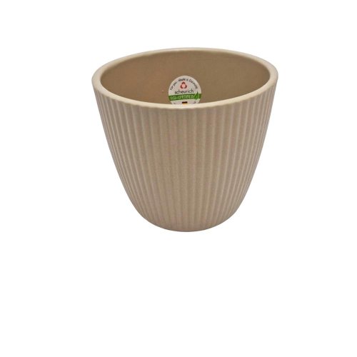69684 obal dry reed 842/14 - Jesenné dekorácie
