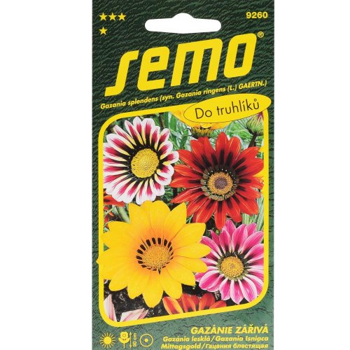 Gazánia lesklá zmes 0,15g - Umelé kvety