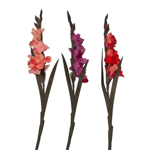 Ks gladiola zamat mix 3 farieb 92 cm