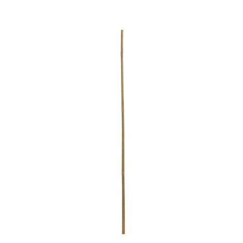 Bambus tyč 210cm