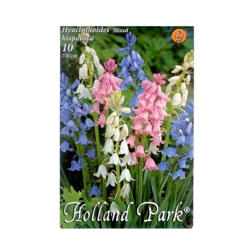 Hyacinthoides mix 10ks - Umelé kvety