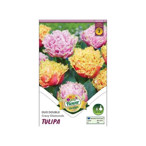 Tulipán duo crazy diamonds 6ks