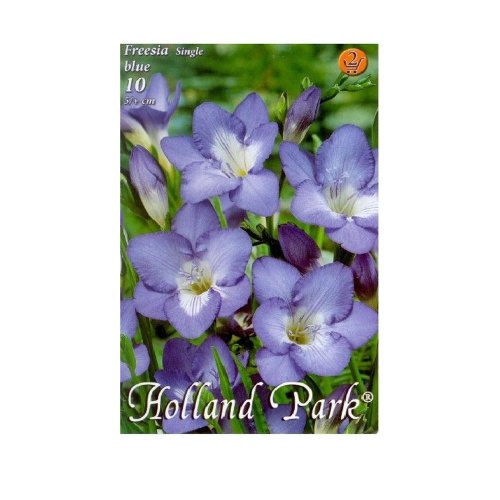 Freesia blue 10ks - Umelé kvety