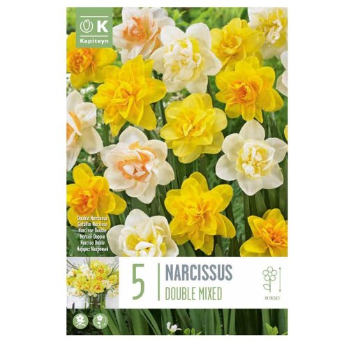 Narcis double mix colours 5ks