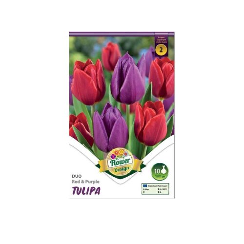 Tulipán duo red&purple 6ks - Umelé kvety