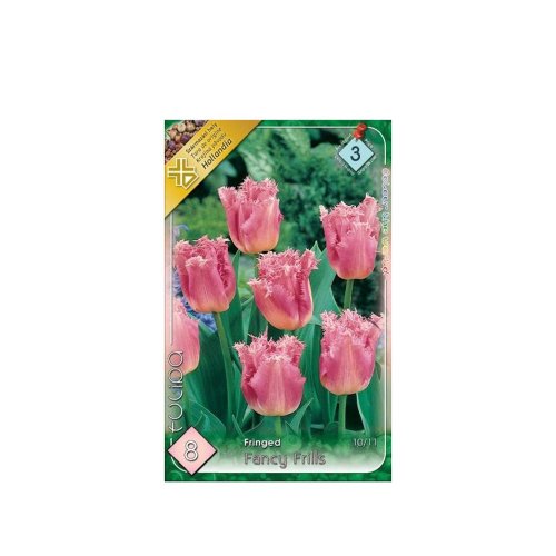 Tulipán fancy frills 8ks