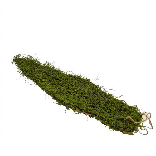 Kôra s machom dekor.