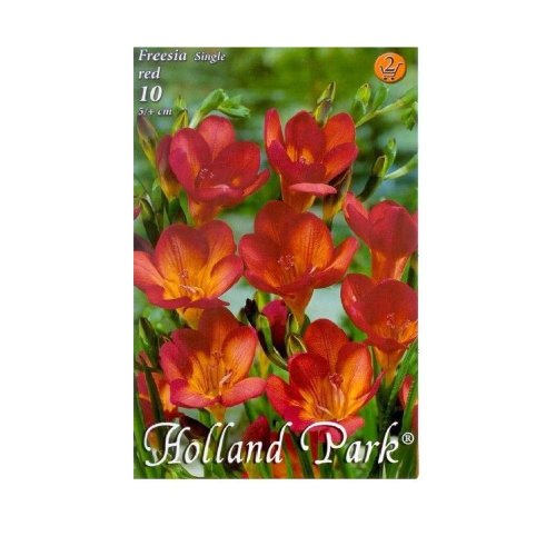 Freesia red 10ks - Umelé kvety
