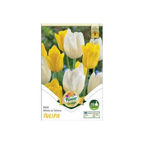 Tulipán duo yellow&white 6ks - Umelé kvety